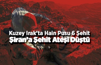 Şiran'a Şehit Ateşi Düştü