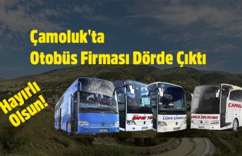 Çamoluk'ta  Otobüs Firması Dörde Çıktı