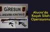 Alucra'da Kaçak Silah Operasyonu