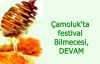 Festival Bilmecesi; Devam