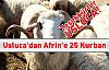 Usluca'dan Afrin'e 25 Kurban