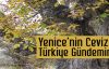 Yenice'nin Cevizleri Türkiye'nin Gündeminde