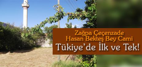 Zağpa Çeçenzade Hasan Bekteş Bey Camii Türkiye'de bir ilk