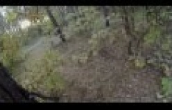 Ormanda Bisikletli adamı kovalayan ayı