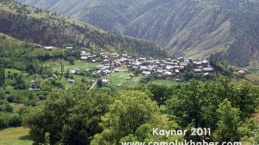 Kaynar