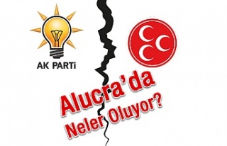 Alucra'da Neler Oluyor?