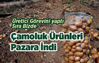 Çamoluk Ürünleri Pazara indi