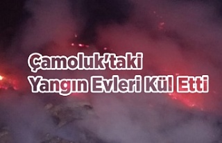 Çamoluk'taki  Yangın Evleri Kül Etti