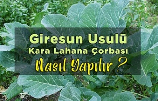 Giresun Usulü Kara Lahana Çorbası