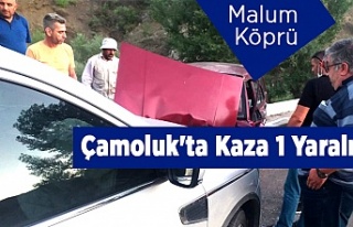 Çamoluk'ta Kaza 1 Yaralı