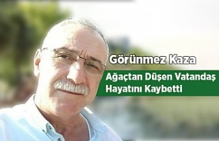 Görünmez Kaza, Ağaçtan Düşen Vatandaş Vefat...