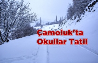 Çamoluk'ta Okullar Tatil