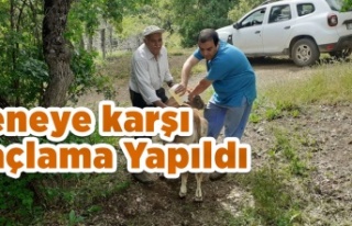 Keneye karşı İlaçlama Yapıldı