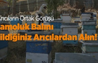 Çamoluklu Arıcılar: Çamoluk'ta Satılan Her...