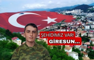 Giresun'a Şehit Ateşi Düştü