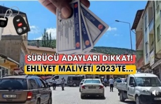 2023'Te Ehliyet Maliyeti Sürücü Adaylarını...