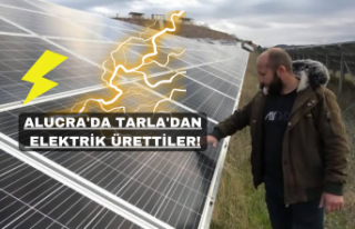 Doğu Karadeniz'in En Büyük Güneş Enerji...