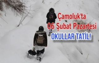 Çamoluk'ta Kar Nedeniyle Okullar 06 Şubat Pazartesi...