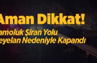 Aman Dikkat! Şiran Çamoluk Yolu Heyelan nedeniyle...