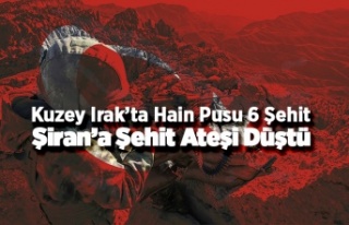 Şiran'a Şehit Ateşi Düştü