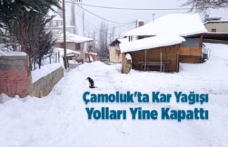 Çamoluk'ta Kar Yağışı Yolları Kapattı