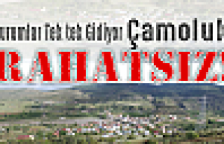 Çamoluk Rahatsız!