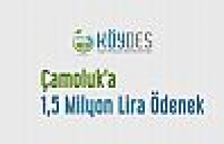 Çamoluk'a 1,5 Milyon Lira Ödenek