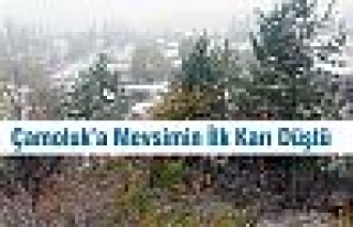 Çamoluk'a yılın ilk karı düştü