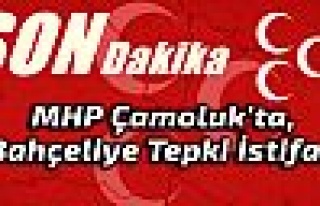 Çamoluk'ta, Bahçeliye Tepki İstifası