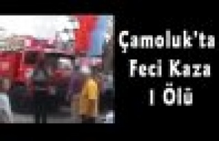 Çamoluk'ta  Kaza 1 Ölü
