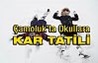 Çamoluk'ta Okullara kar tatili