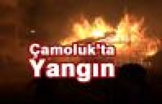 Çamoluk'ta Yangın