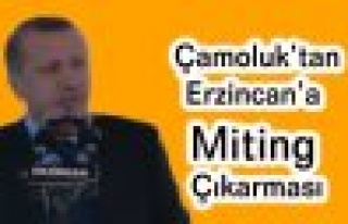 Çamoluk'tan Erzincan'a Miting Çıkarması
