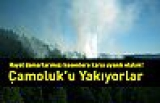 Çamoluk'u yakıyorlar!