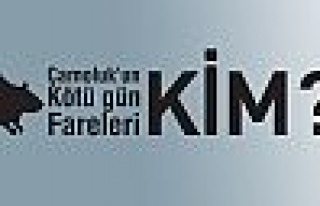 Çamoluk'un Kötü  gün Fareleri KİM?