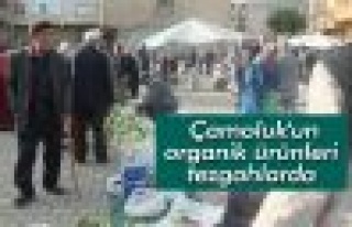 Çamoluk'un organik ürünleri tezgahlarda