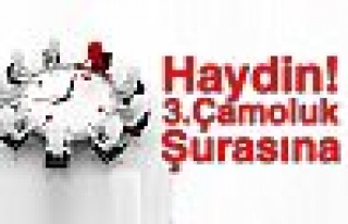 Haydin 3. Çamoluk Şurasına