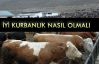 İyİ Kurbanlık Nasıl Olmalı?