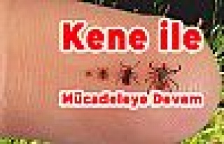 Kene ile Mücadeleye Devam