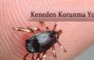 Keneden korunma yolları