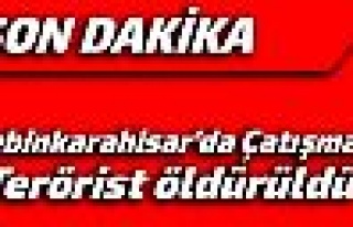 Şebinkarahisar'da çatışma 1 Terörist öldü