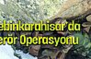 Şebinkarahisar’da terör operasyonu