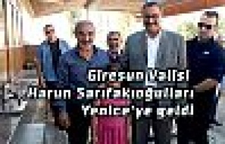 Vali Yenice'de
