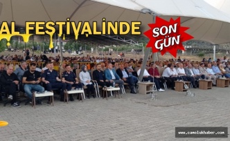 29.Çamoluk bal Festivalinde son gün yoğunluğu