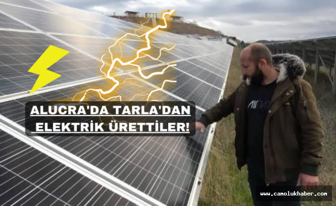 Doğu Karadeniz'in En Büyük Güneş Enerji Santrali Tam Kapasite Üretime Başladı!
