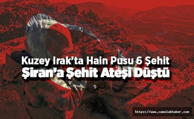 Şiran'a Şehit Ateşi Düştü