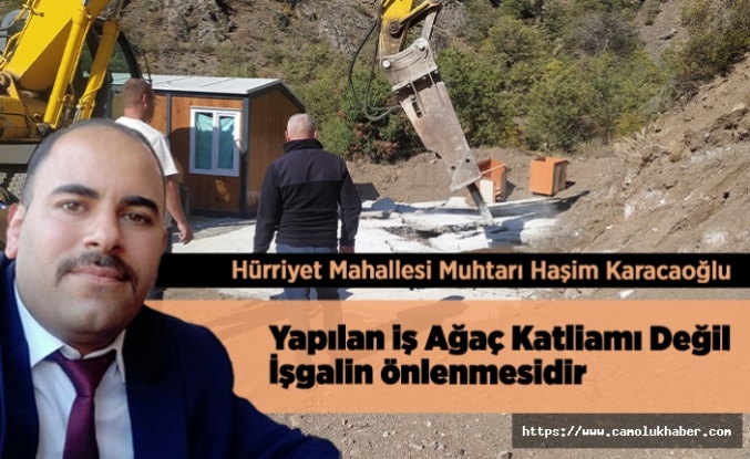 Haşim Karacaoğlu; Ağaç katliamı Değil İşgal önlendi