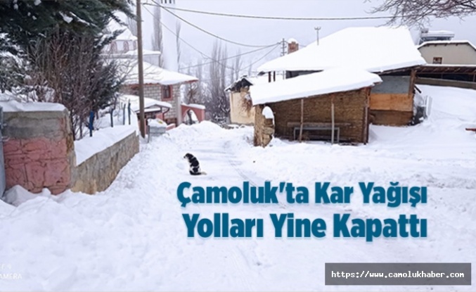 Çamoluk'ta Kar Yağışı Yolları Kapattı