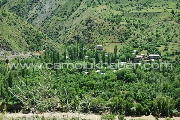 Koçak Köyü