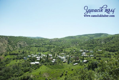 Yuvacık Mahallesi
